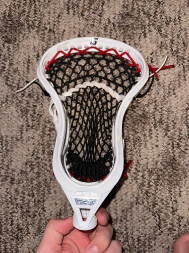 Gait Mustang Head