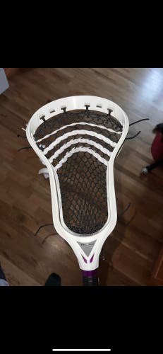 BN Box Strung Vektr