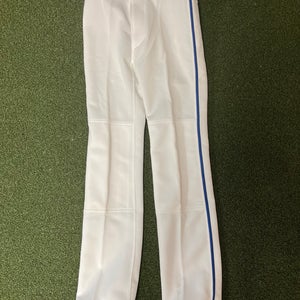 Mizuno Baseball Pants