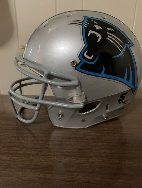 Carolina Panthers Riddell SpeedFlex Helmet – Green Gridiron, Inc.