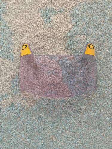 Oakley Prism New Visor