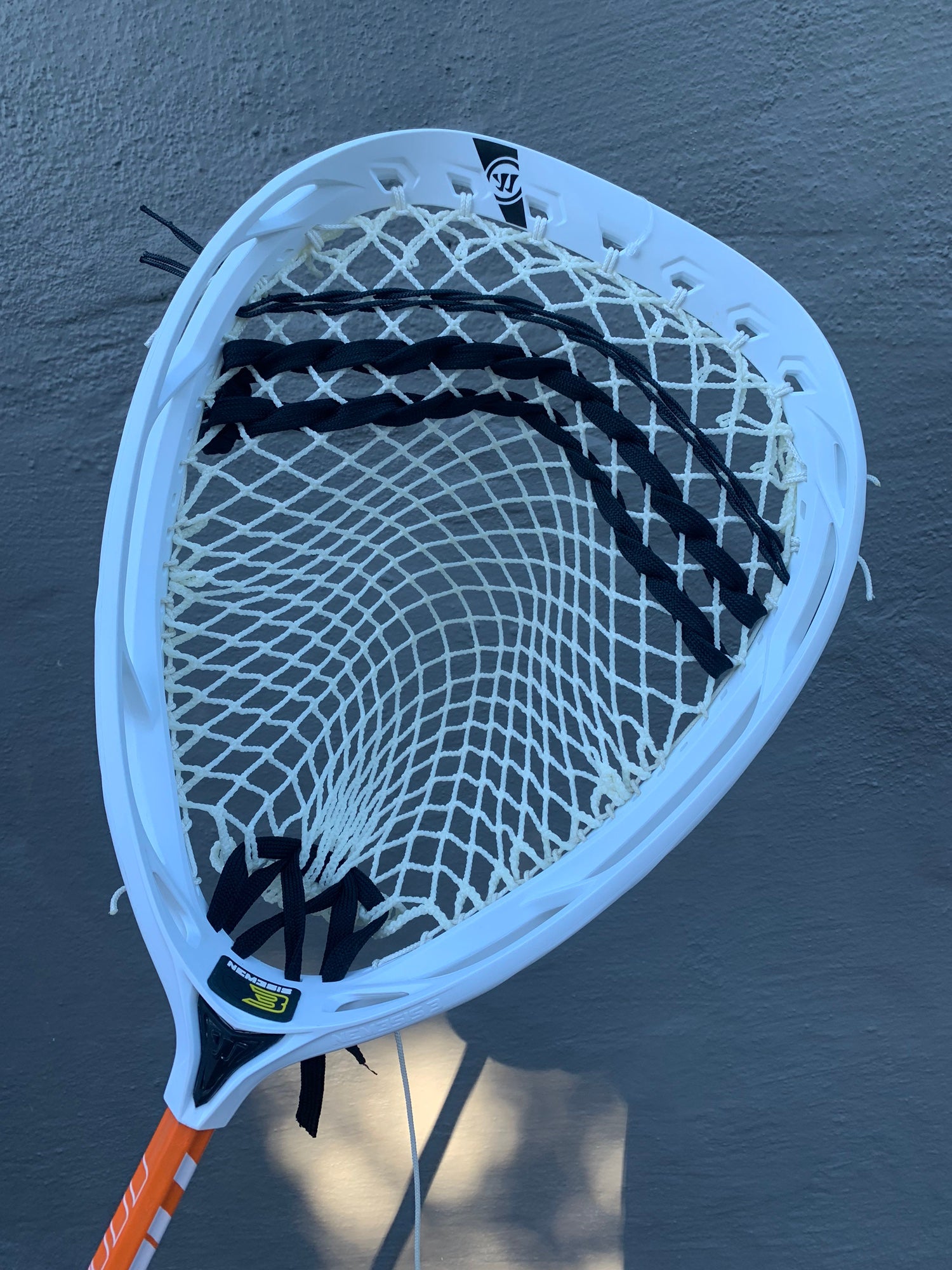 Warrior Wall strung with Moose Mesh