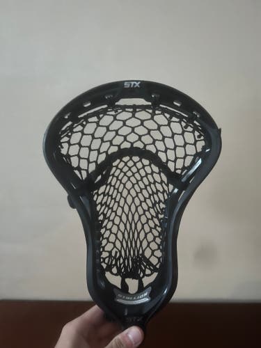 stx stallion 900