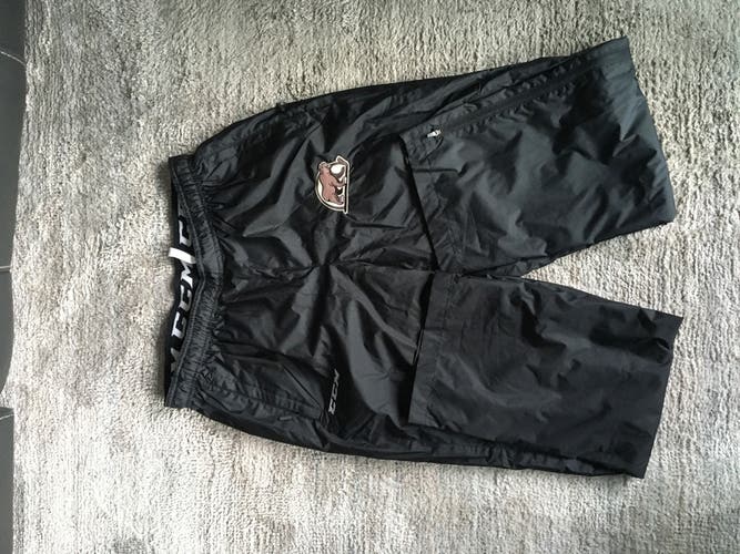 Hershey Bears CCM Team Track Pant