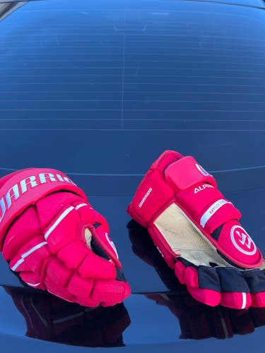 Warrior 14" Alpha LX 20 Gloves