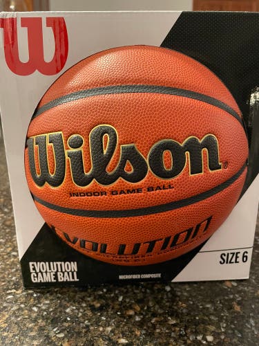 Wilson Evolution basketball