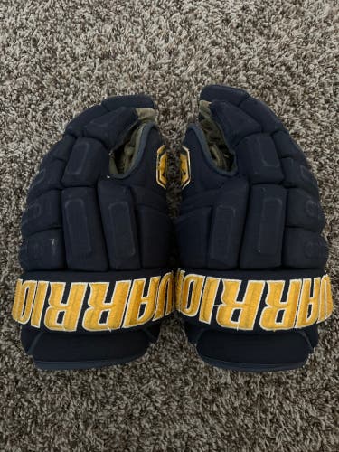 USED Warrior 14" Pro Stock Franchise Gloves