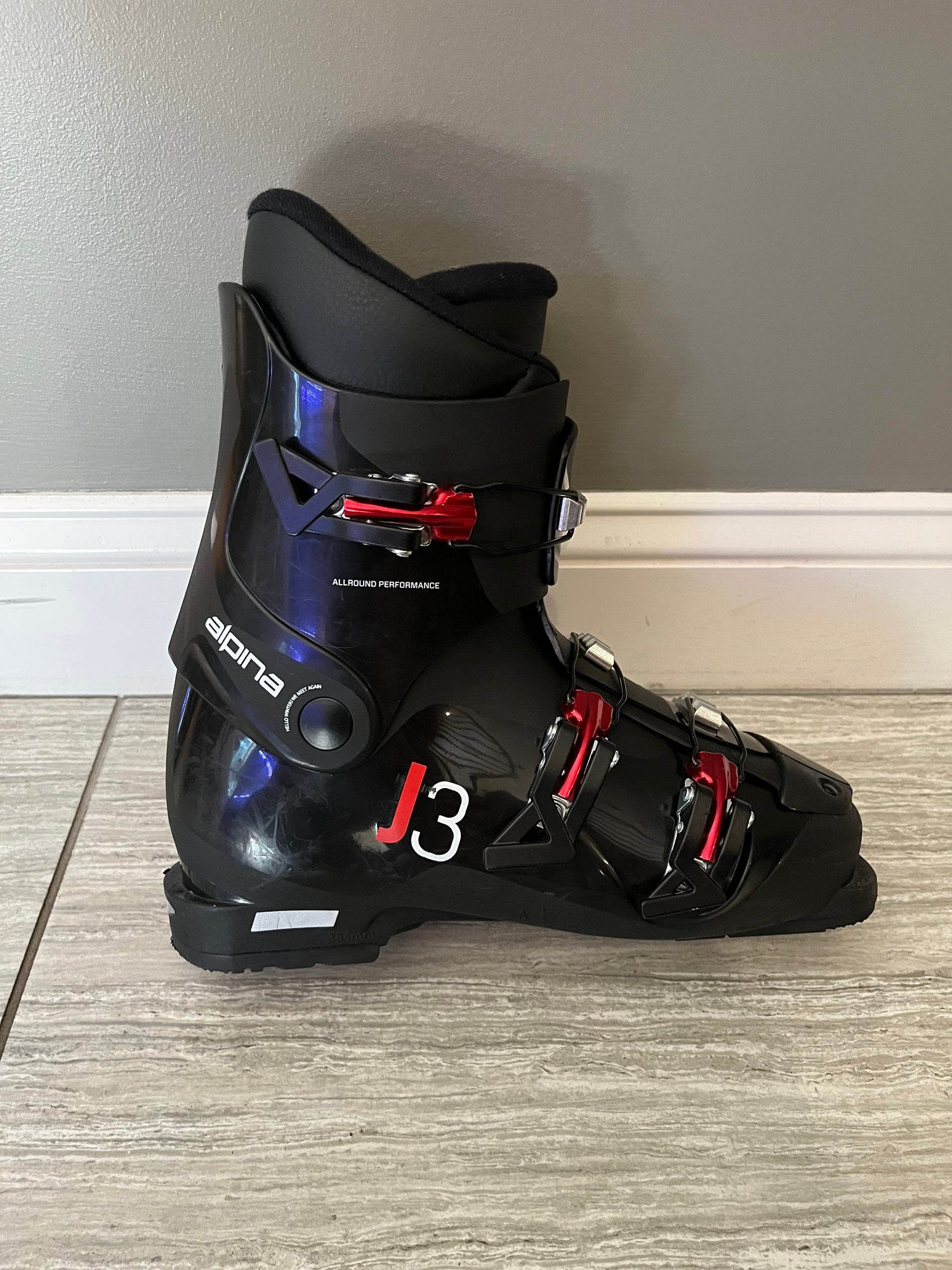 Alpina Downhill Ski Boots | Used and New on SidelineSwap