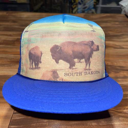Vintage 80s South Dakota Buffalo Mesh Trucker Prairie Cap Hat Snapback Foam
