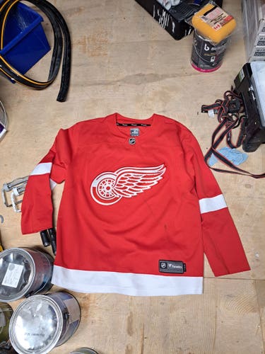 Retail Red Wings Fanatics Jersey w/matching socks