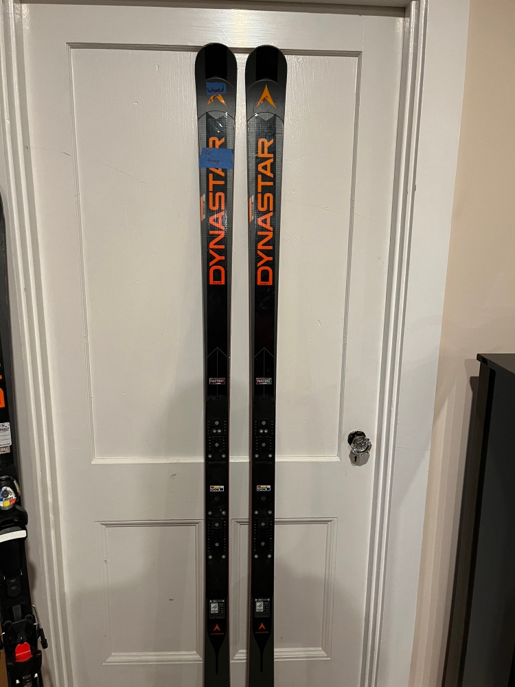 Used 193 cm Without Bindings Speed WC FIS GS Skis