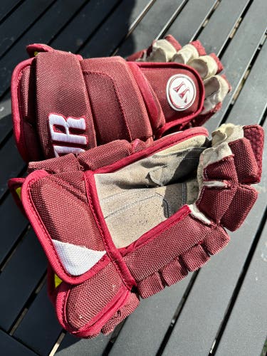 Used Warrior 14" Pro Stock AX1 Pro Gloves