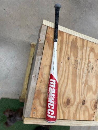 2020 Alloy (-5) 26 oz 31" CAT 8 Bat