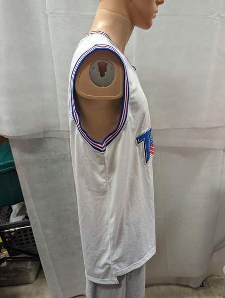 Vintage Space Jam Tune Squad Taz Champion Jersey L