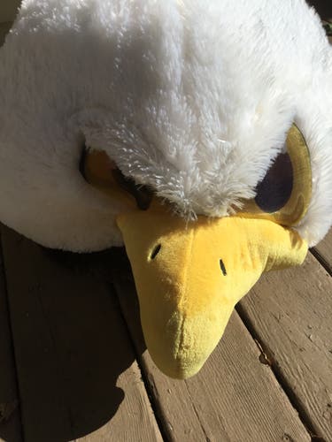 Eagle mascot head