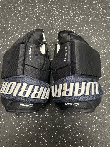 Idaho Steelheads Pro Stock 13” Gloves