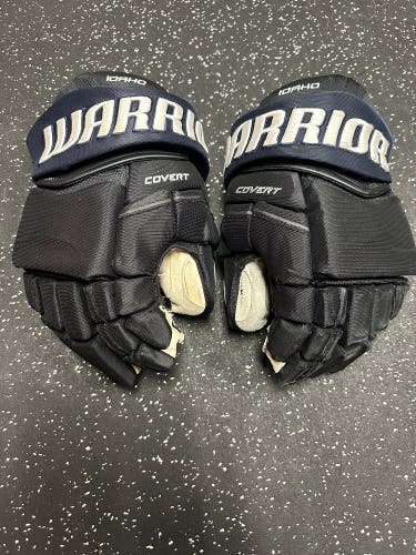 Idaho Steelheads Pro Stock 14” Gloves