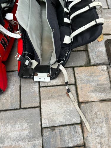 Smith goalie pads 34+1