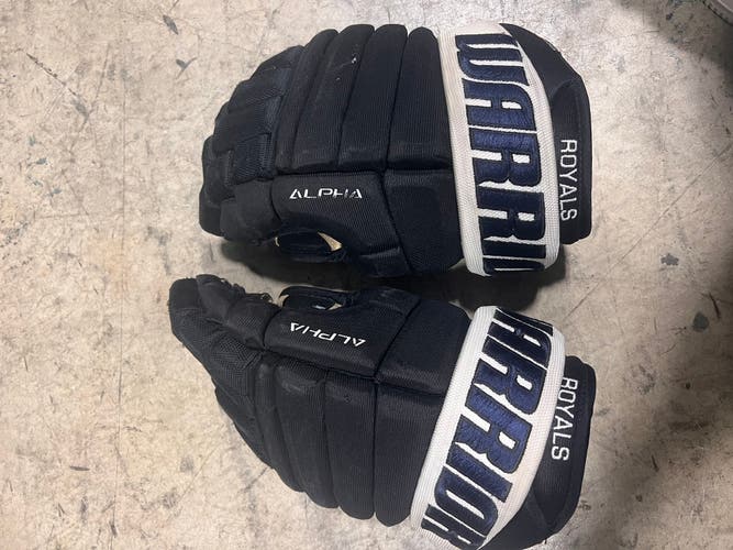 Warrior 13" Gloves