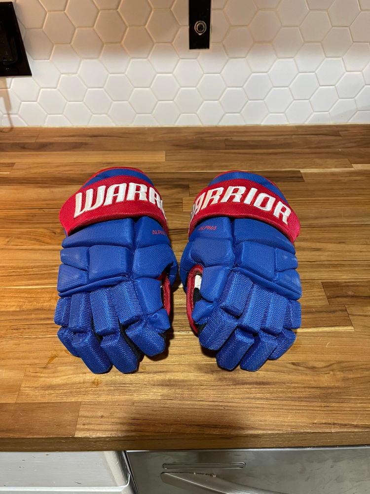 Used Warrior 10" Alpha Pro Gloves