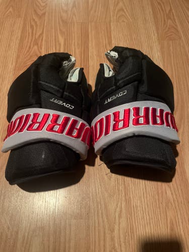 Adk Thunder (ECHL) Team Gloves From 22/23 Season