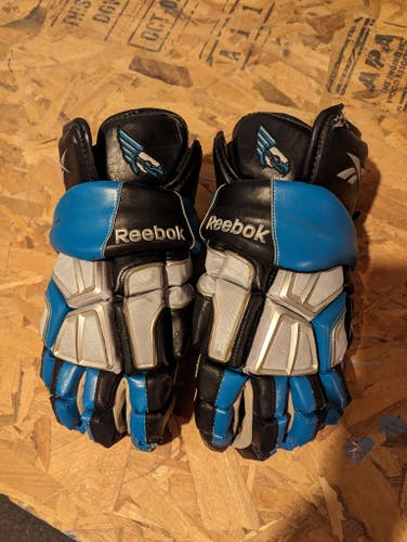 Rochester Knighthawks Team Issued Gloves, 9k