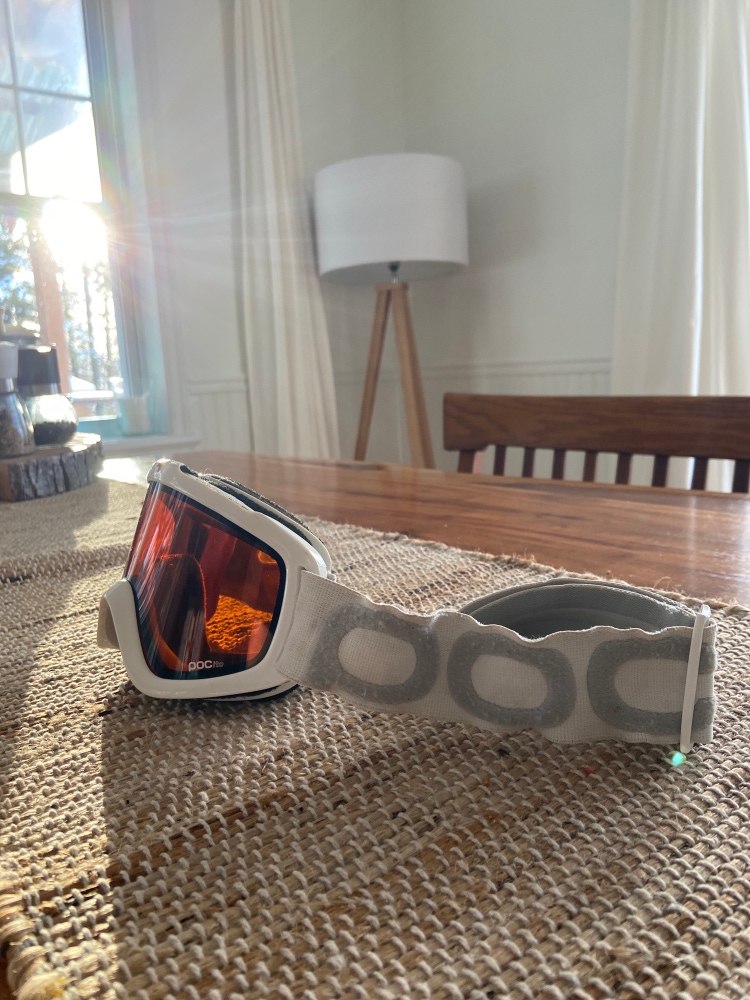 POC Ski Goggles White