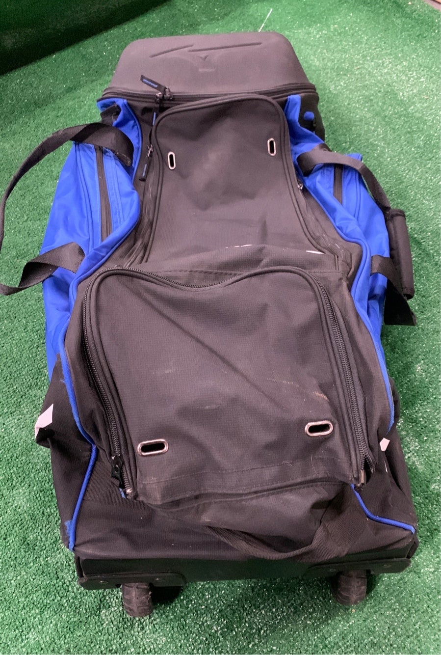 Rawlings catchers bag | SidelineSwap