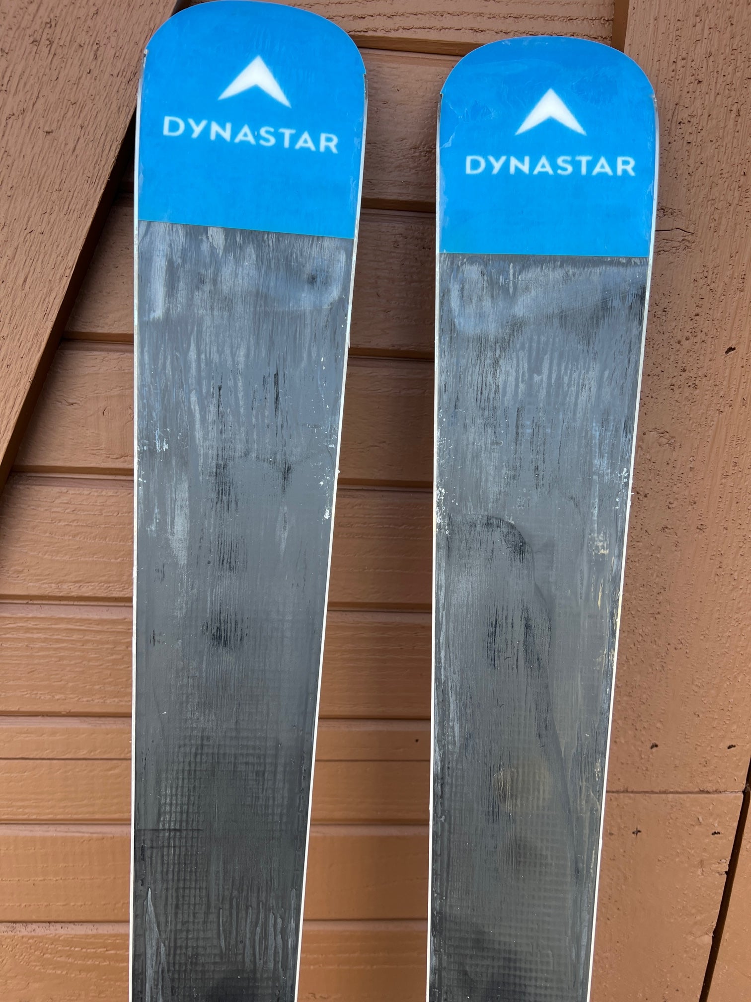 Dynastar 175 cm Racing Speed WC FIS GS Giant Slalom Skis