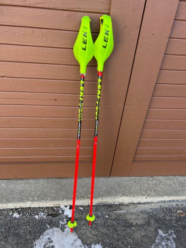 Leki Racing World Cup Lite SL Ski Poles with Leki Slalom Pole Guards 110 cm (44 inches)
