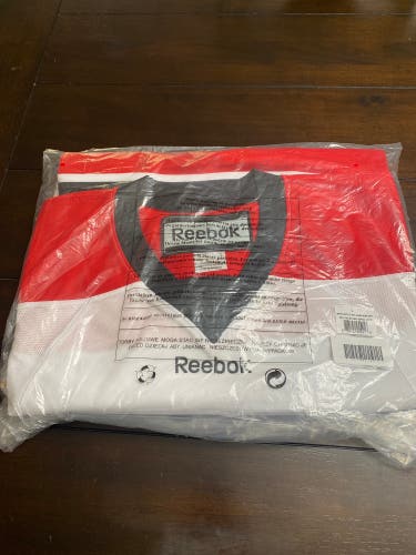 RBK edge sr large blank hurricanes jersey