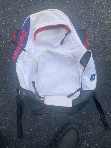 Used DeMarini Baseball Bag