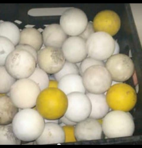 120 Used Lacrosse Balls