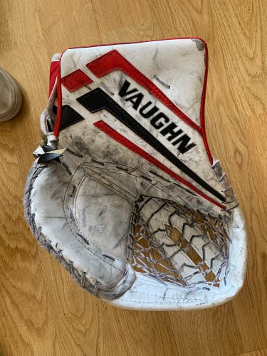 Used Regular  Velocity VE8