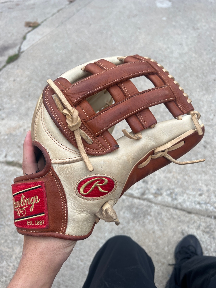 2022 Rawlings Gold Glove Baseball Glove