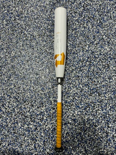 2022 Composite (-8) 22 oz 30" CF Bat