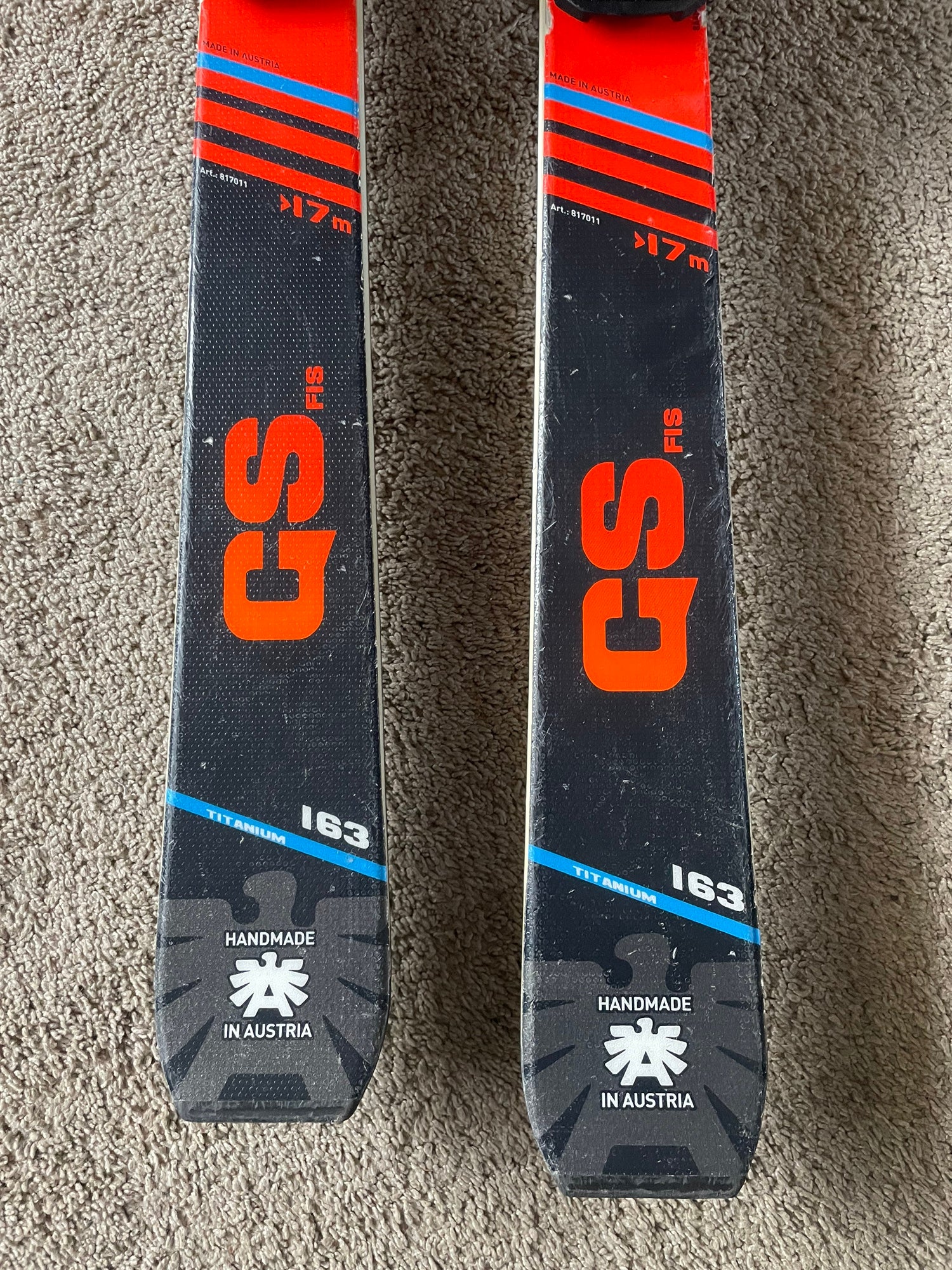 スキーブリザード GS FIS 163 - スキー