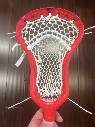 New STX Stallion 1K Head