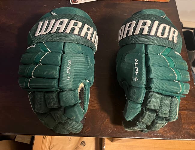 Used Warrior 14" Alpha Pro Gloves