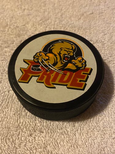 Pee Dee Pride ECHL Vintage Hockey Puck