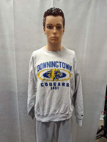 Vintage Downingtown Cougars East Champion Reverse Weave Crewneck Sweater XL