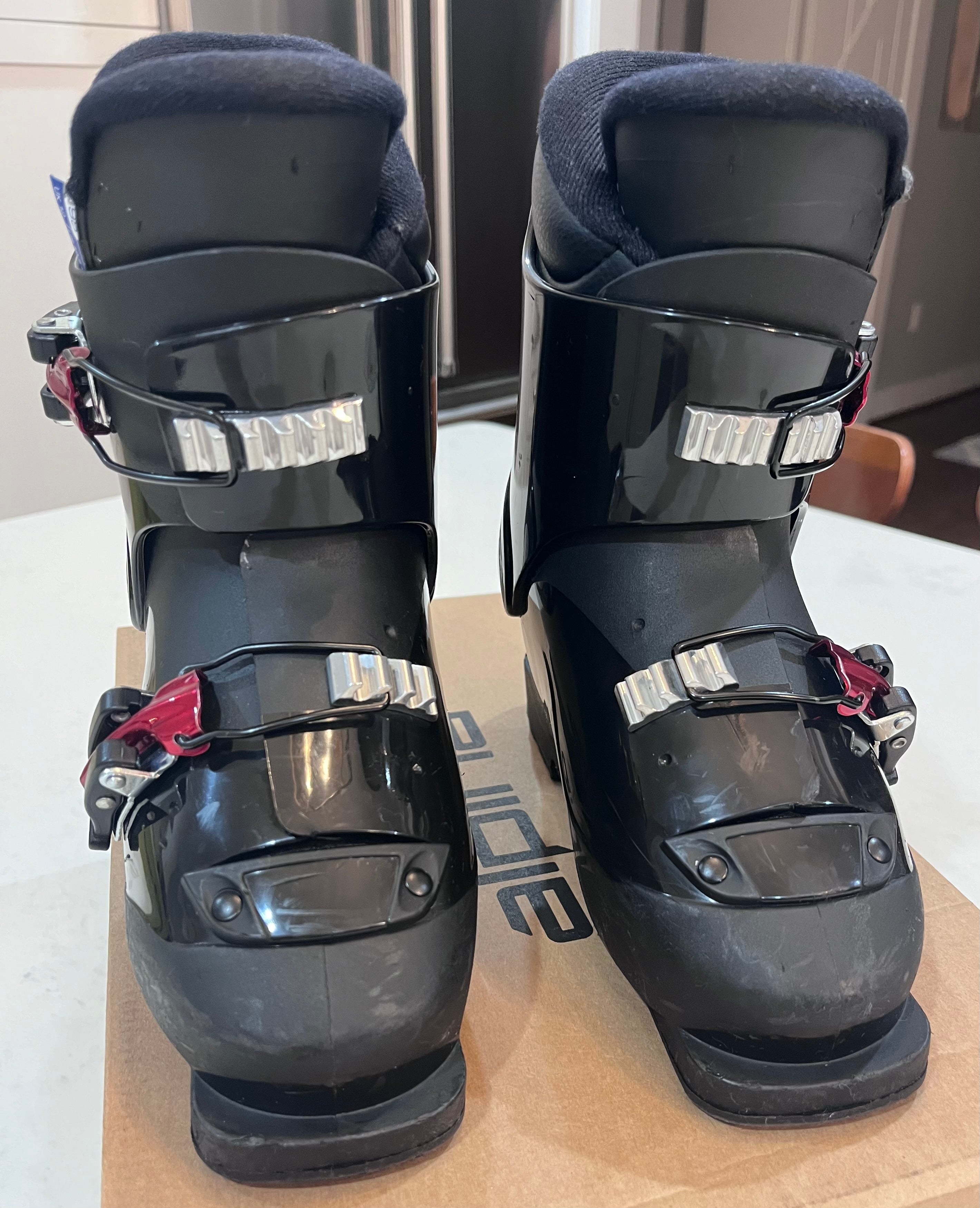 Alpina Downhill Ski Boots | Used and New on SidelineSwap