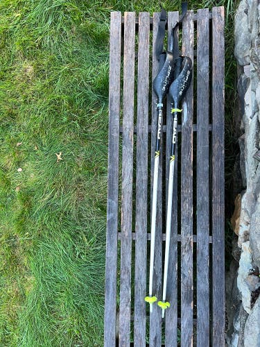 Head Worldcup Rebel JR Slalom SL race poles 110/44” With Guards