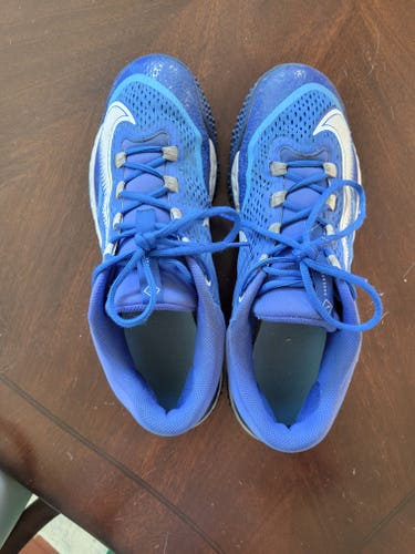 Blue Used Adult Men's Size 13 (Women's 14) Nike Low Top