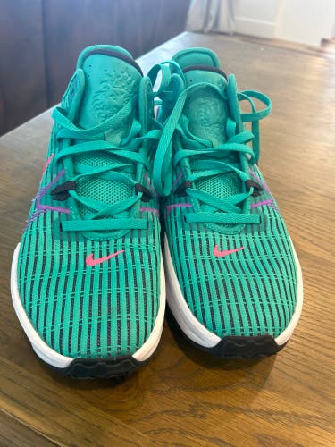 Nike Basketball Shoes Lebron Witness Size 11.5