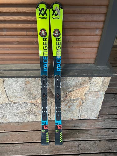 Used 157 cm Skis