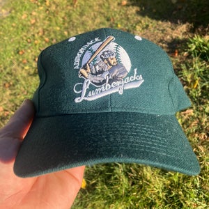 Adirondack Lumberjacks SnapBack vintage hat