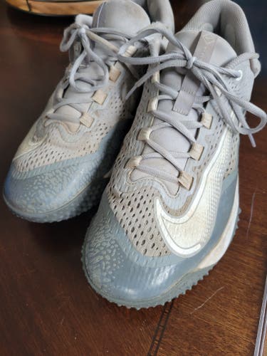 Gray Used Men's Size 13 (Women's 14) Nike Low Top