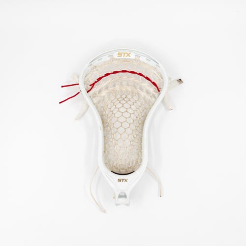 Whipsnakes LC Team-Issued STX Stallion Head