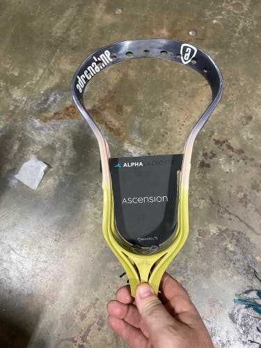 Alpha Ascension Lacrosse Head